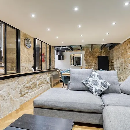 Beautiful Loft 130m2 Louvre Palais Royal - Ii Parigi